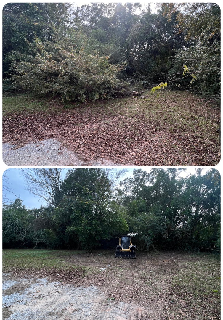 First Chantz Tree Service - Pensacola, FL
