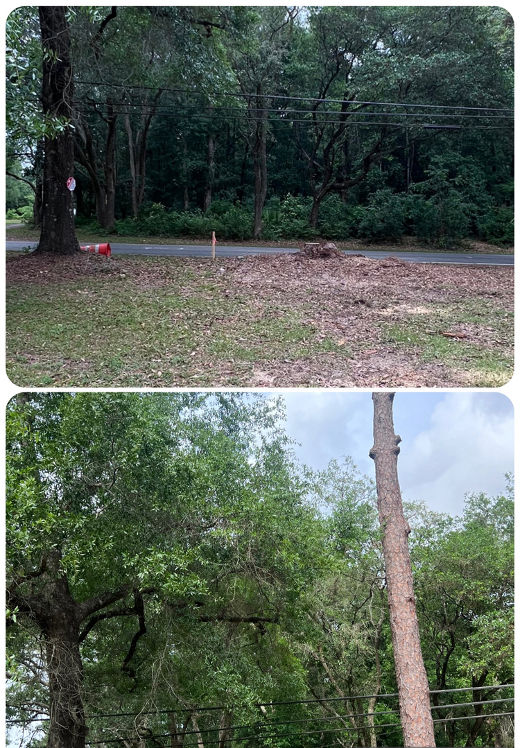 First Chantz Tree Service - Pensacola, FL