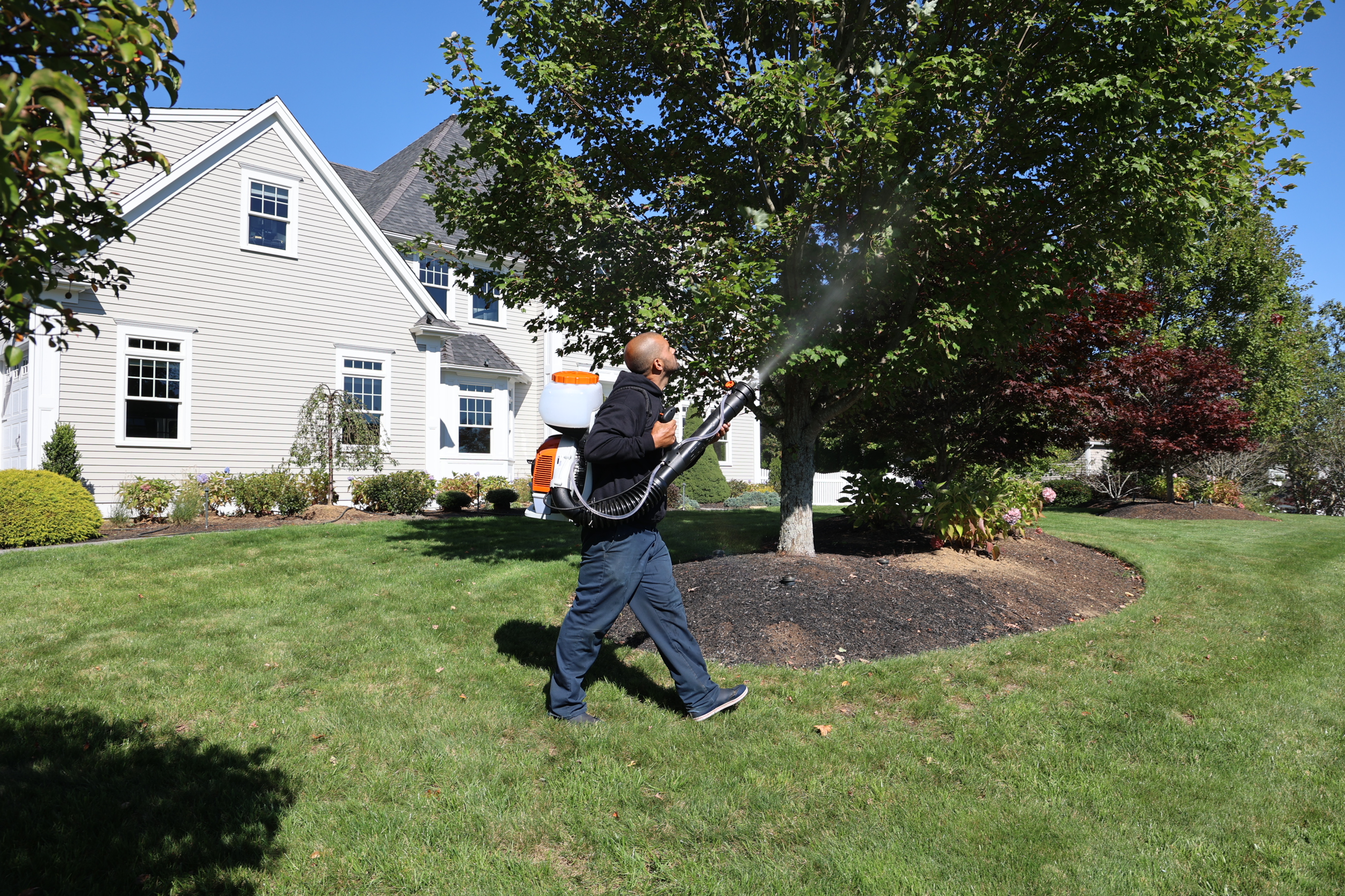 South Shore Mosquito & Tick Control - Kingston, MA