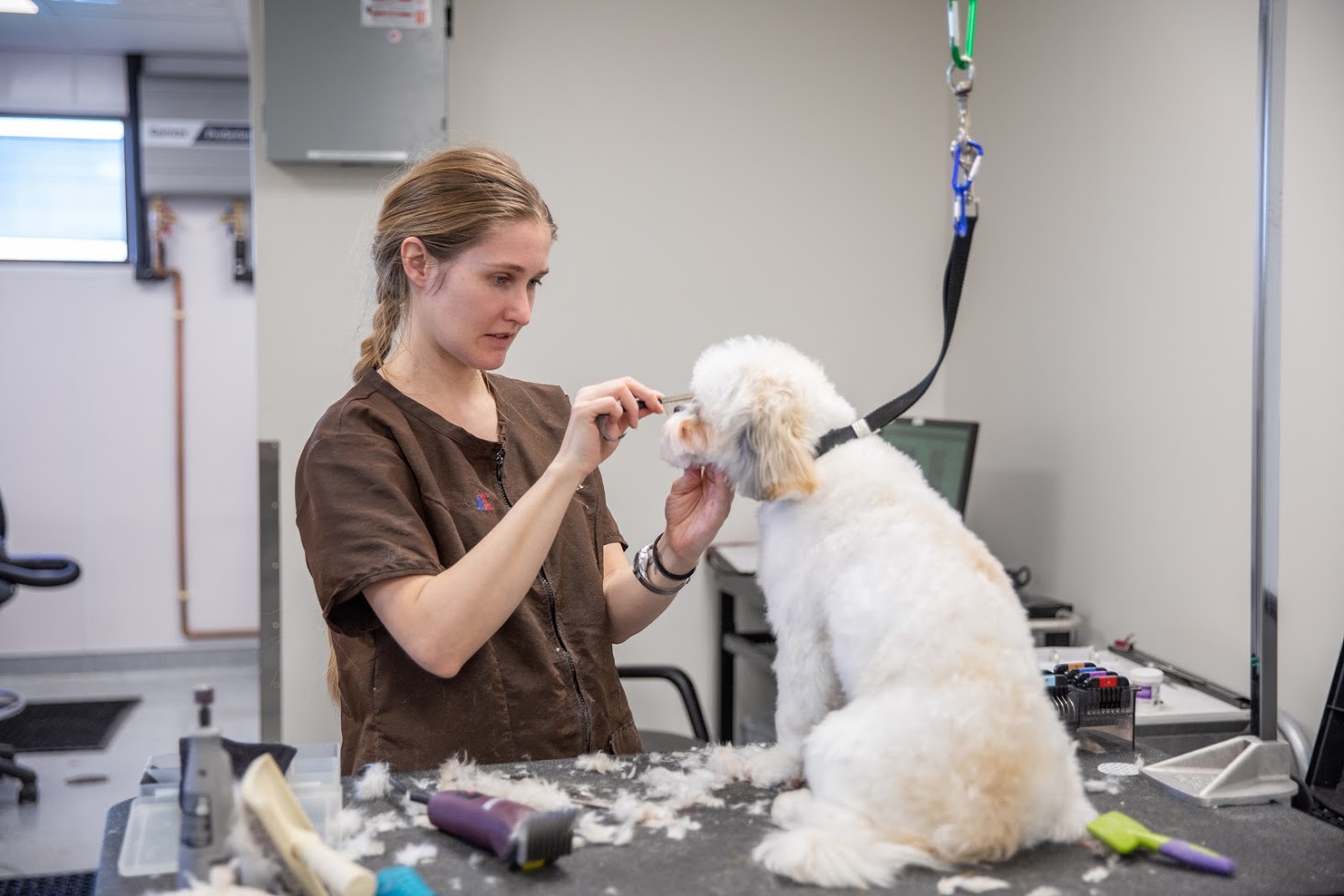 Vet Stop Animal Hospital - Saint Peters, MO