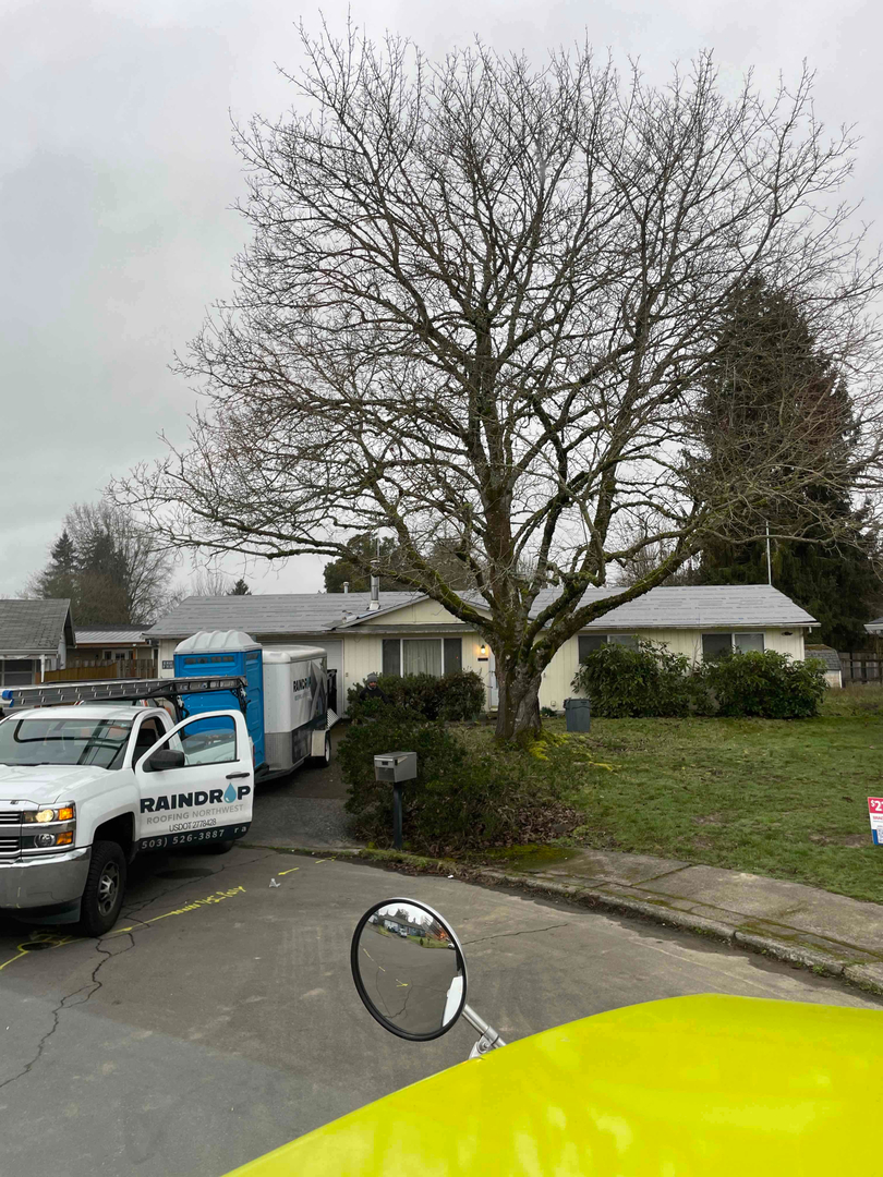 Raindrop Roofing Northwest Image