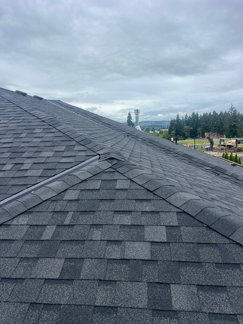 Raindrop Roofing Northwest Image