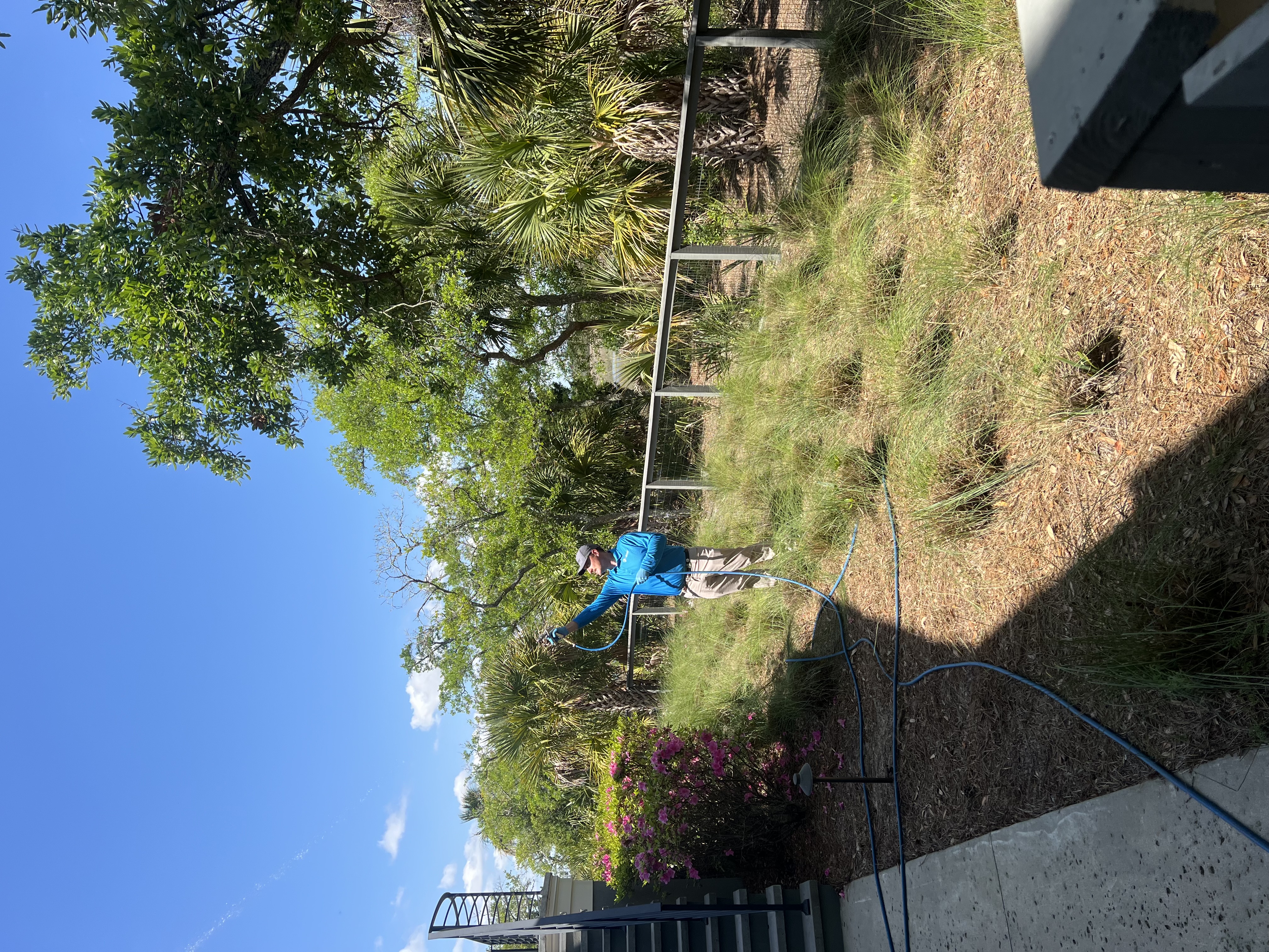 ClearDefense Pest Control Image