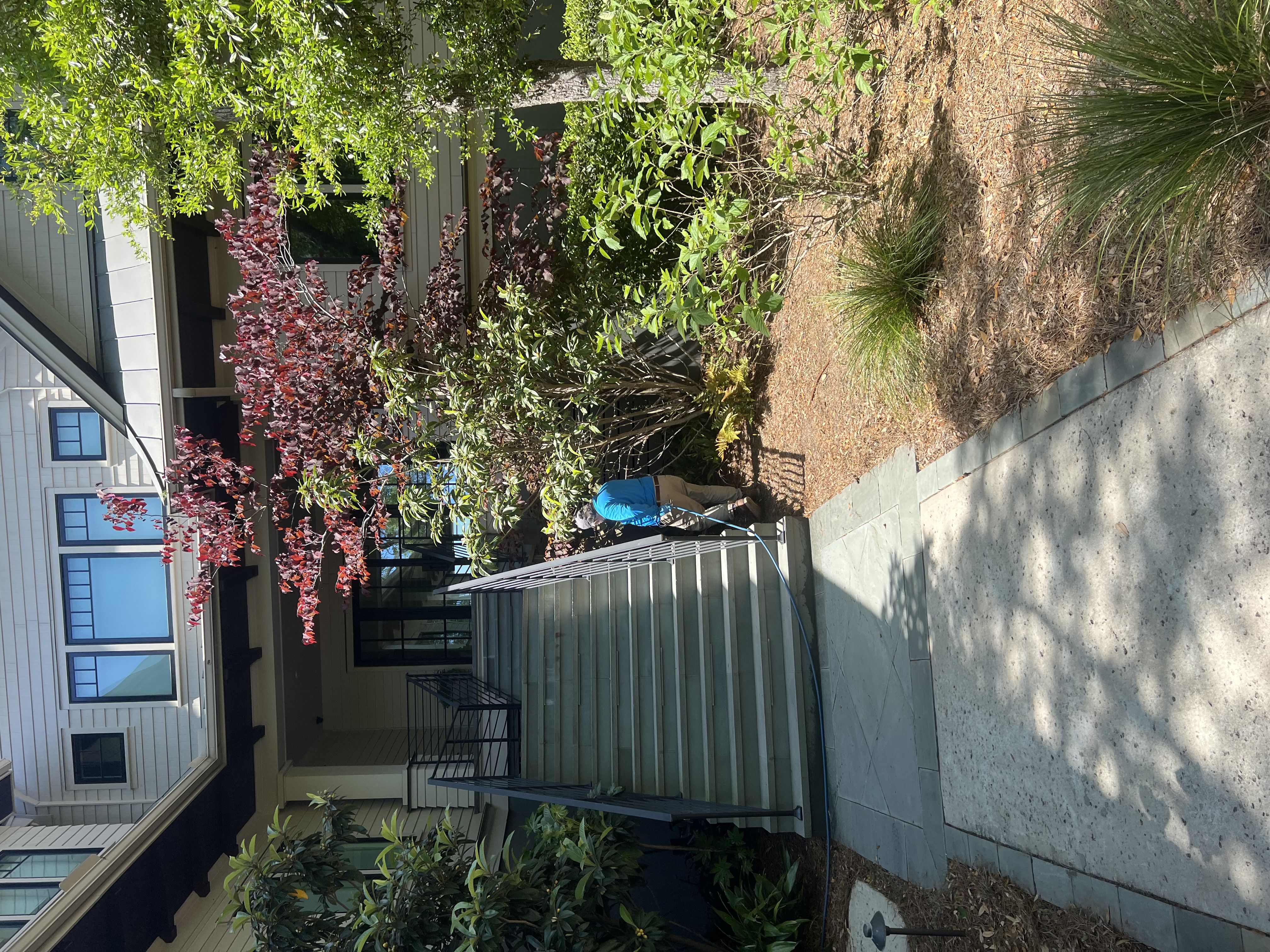 ClearDefense Pest Control Image