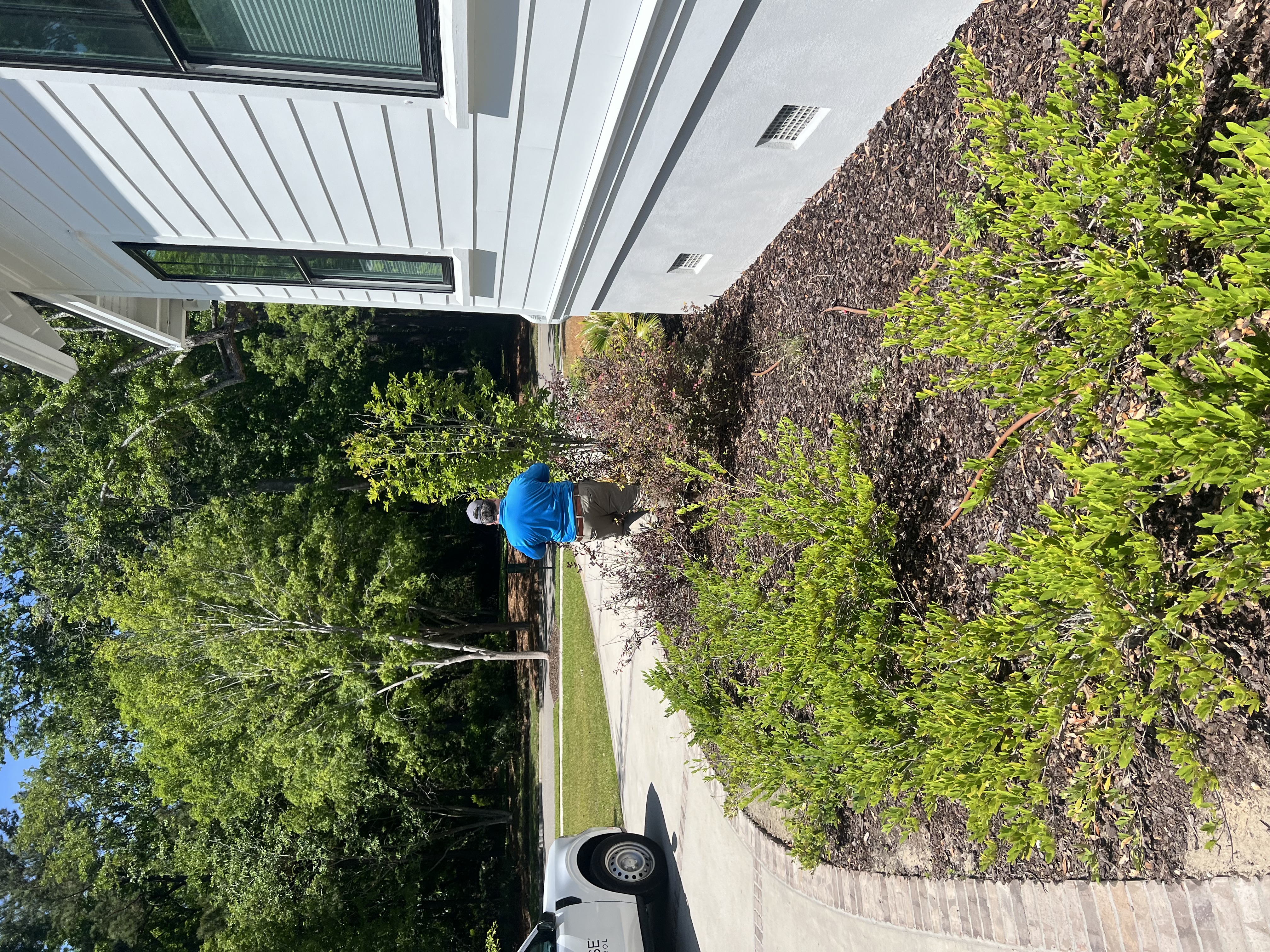 ClearDefense Pest Control Image