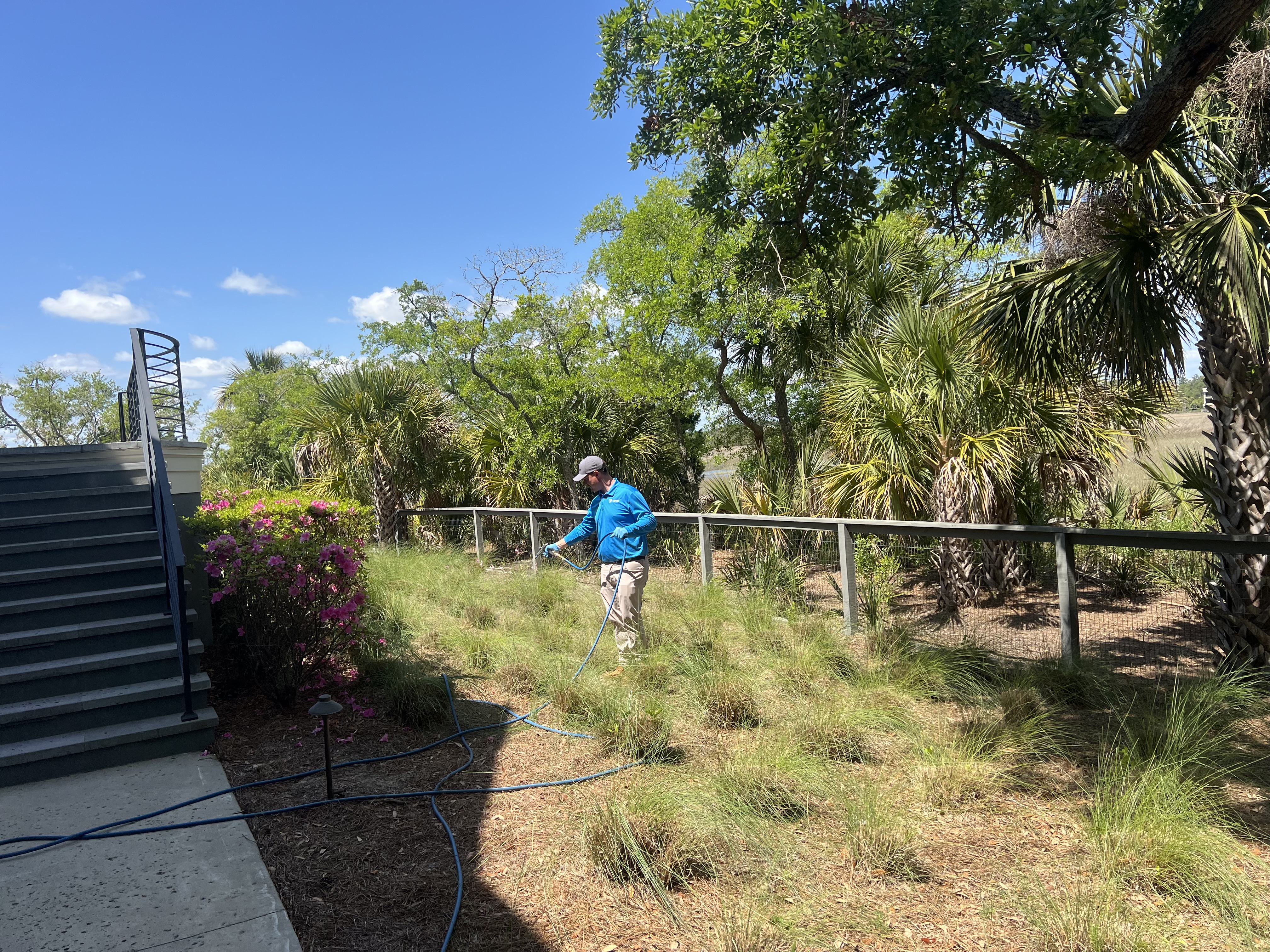 ClearDefense Pest Control Image