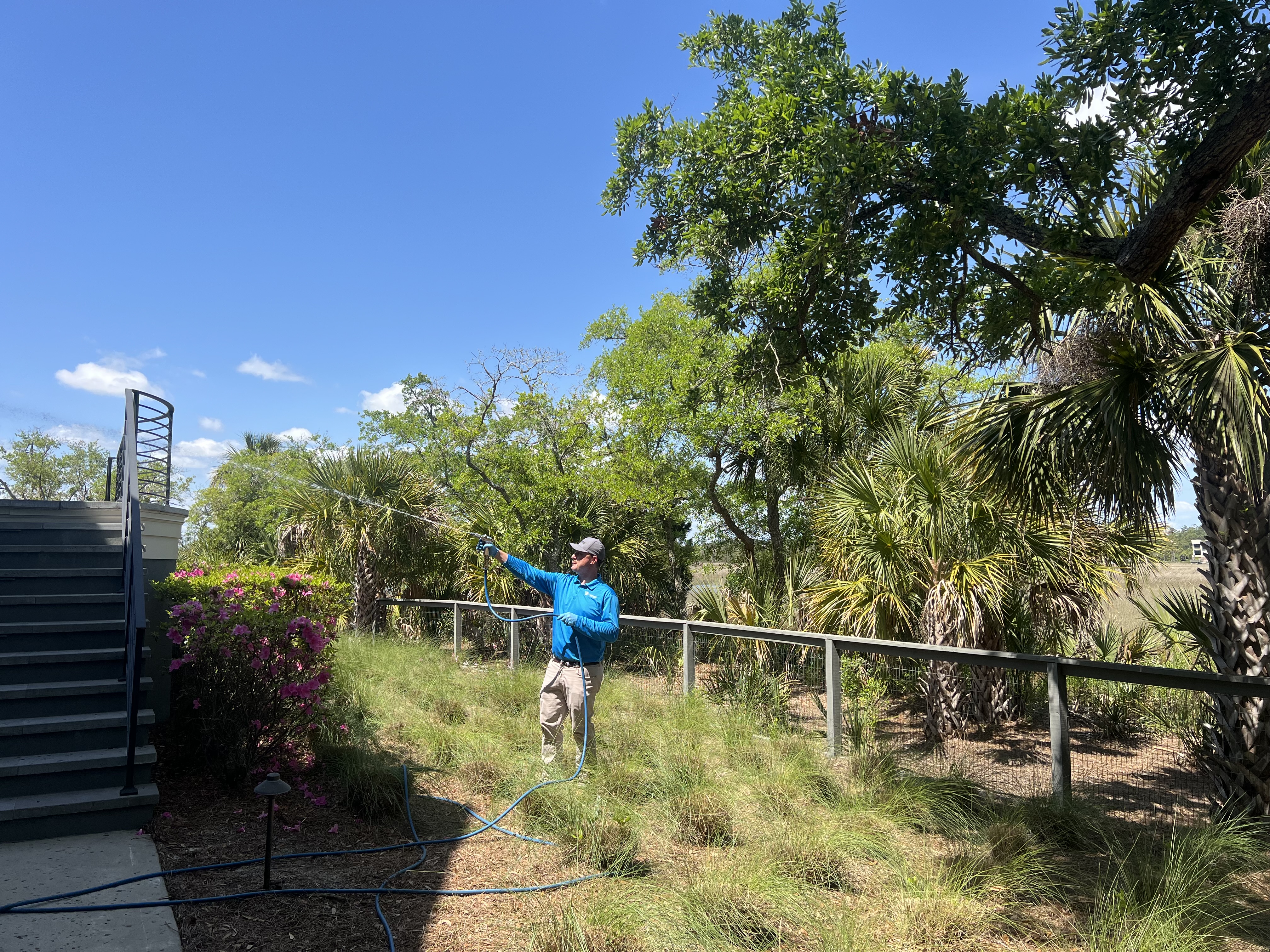 ClearDefense Pest Control Image