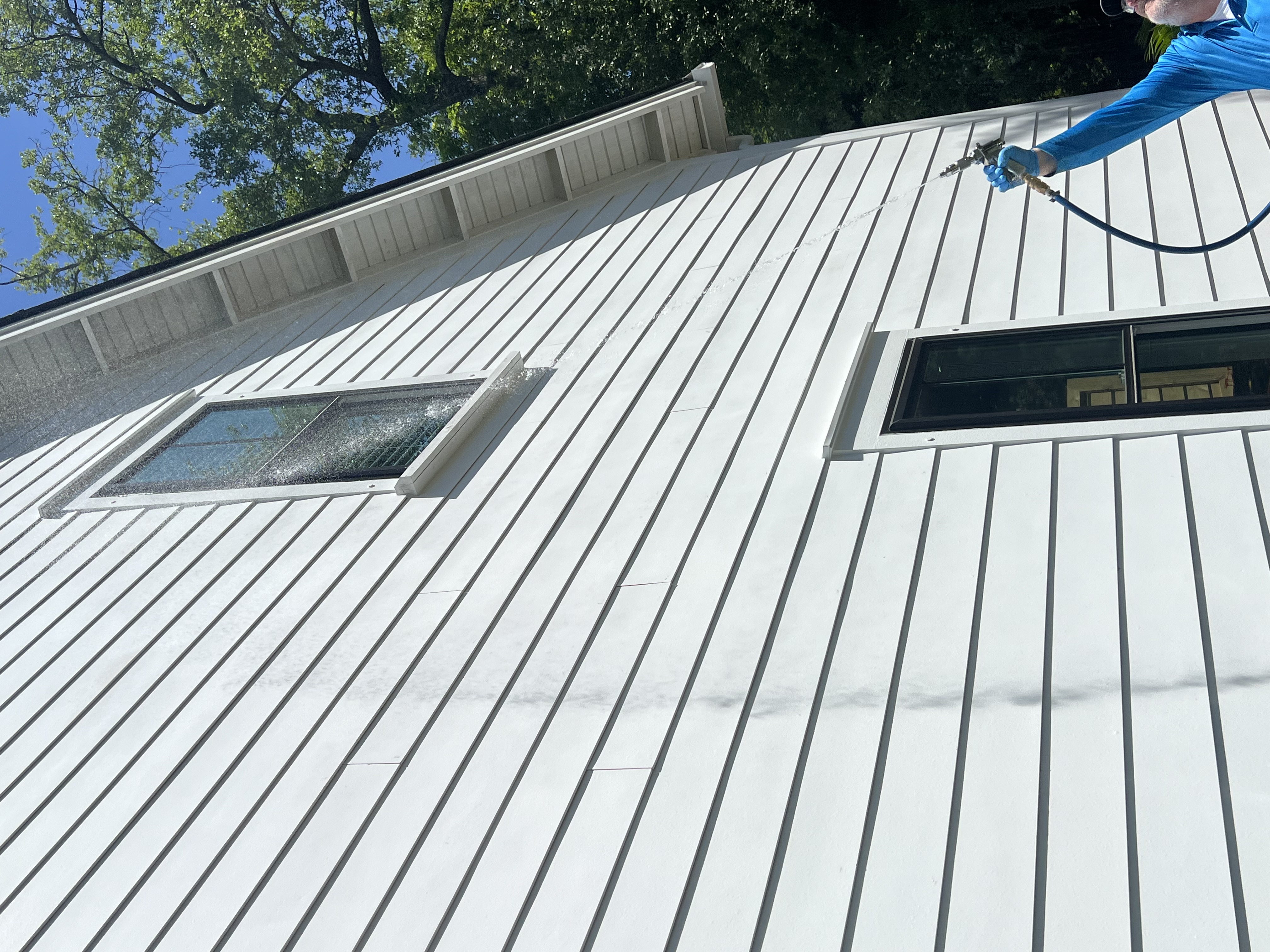 ClearDefense Pest Control Image