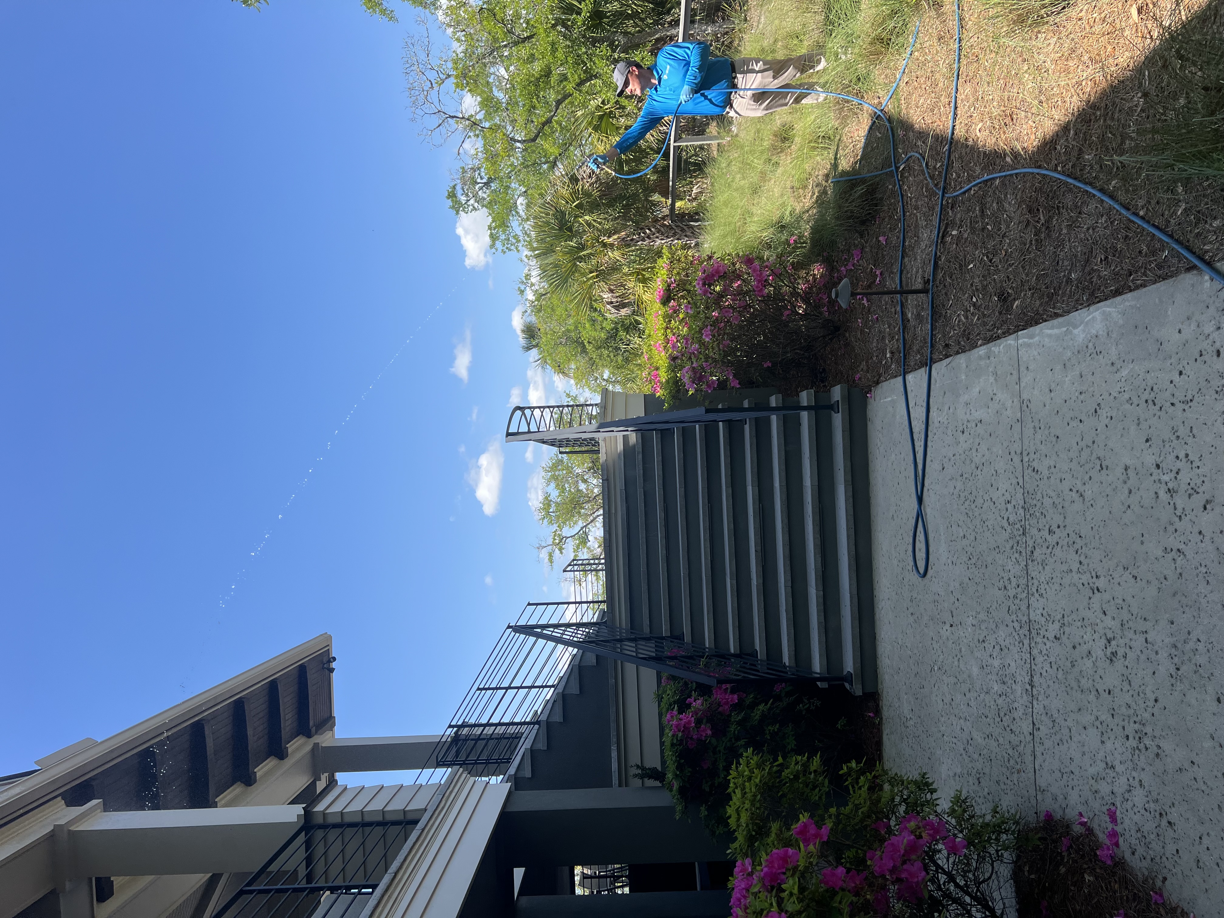 ClearDefense Pest Control Image