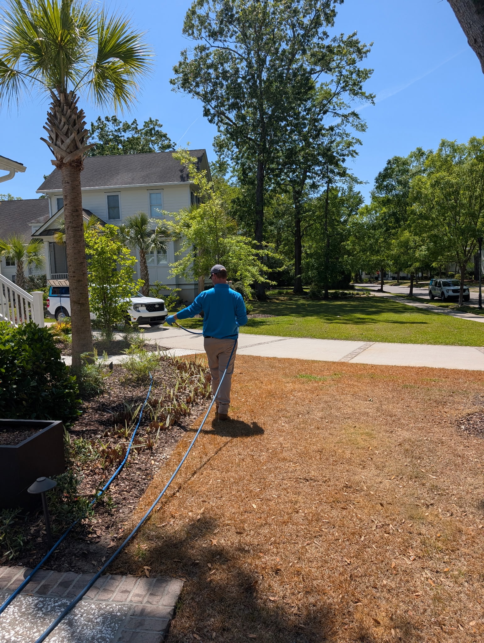 ClearDefense Pest Control Image