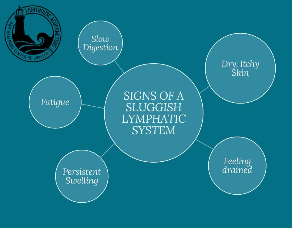 Lighthouse Acupuncture and Wellness Center of Jupiter Image