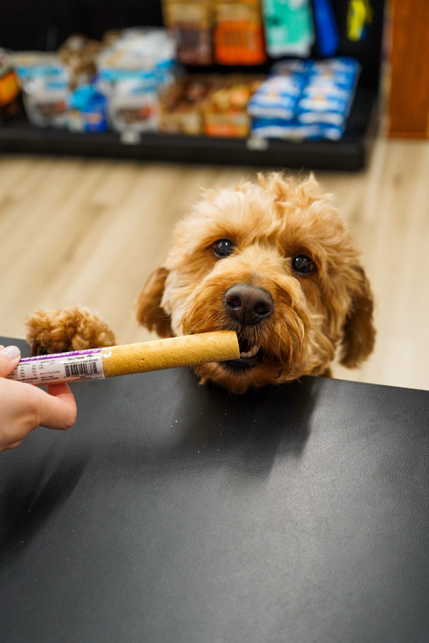 Pet Supermarket Image