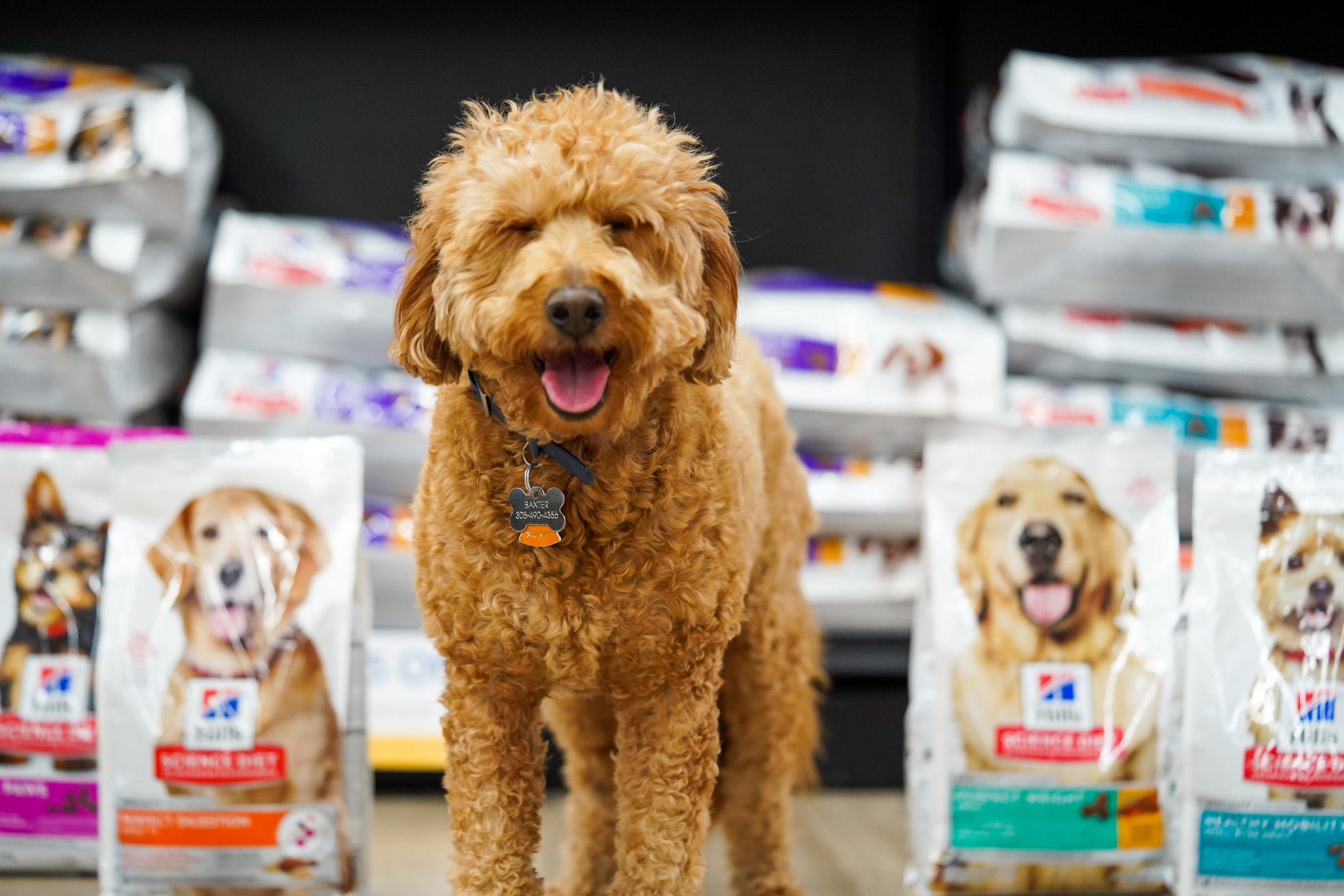 Pet Supermarket Image