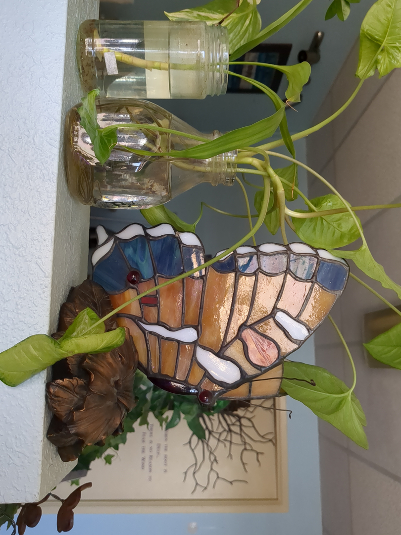 Cozy Meyer LMT Image