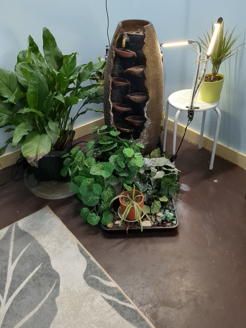 Cozy Meyer LMT Image