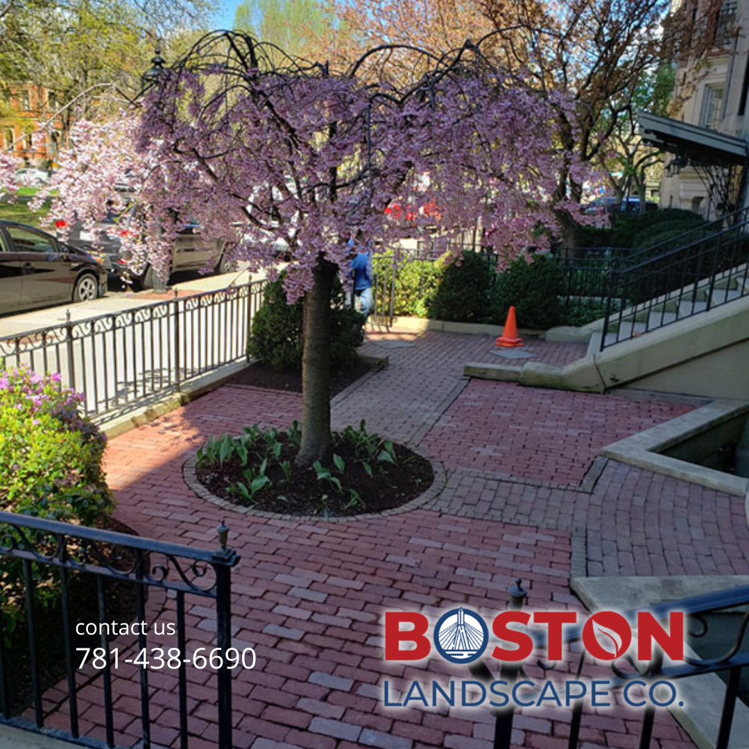 Boston Landscape Co. Image