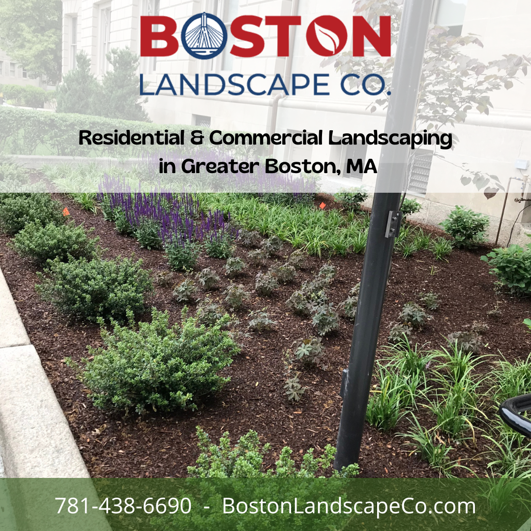 Boston Landscape Co. Image