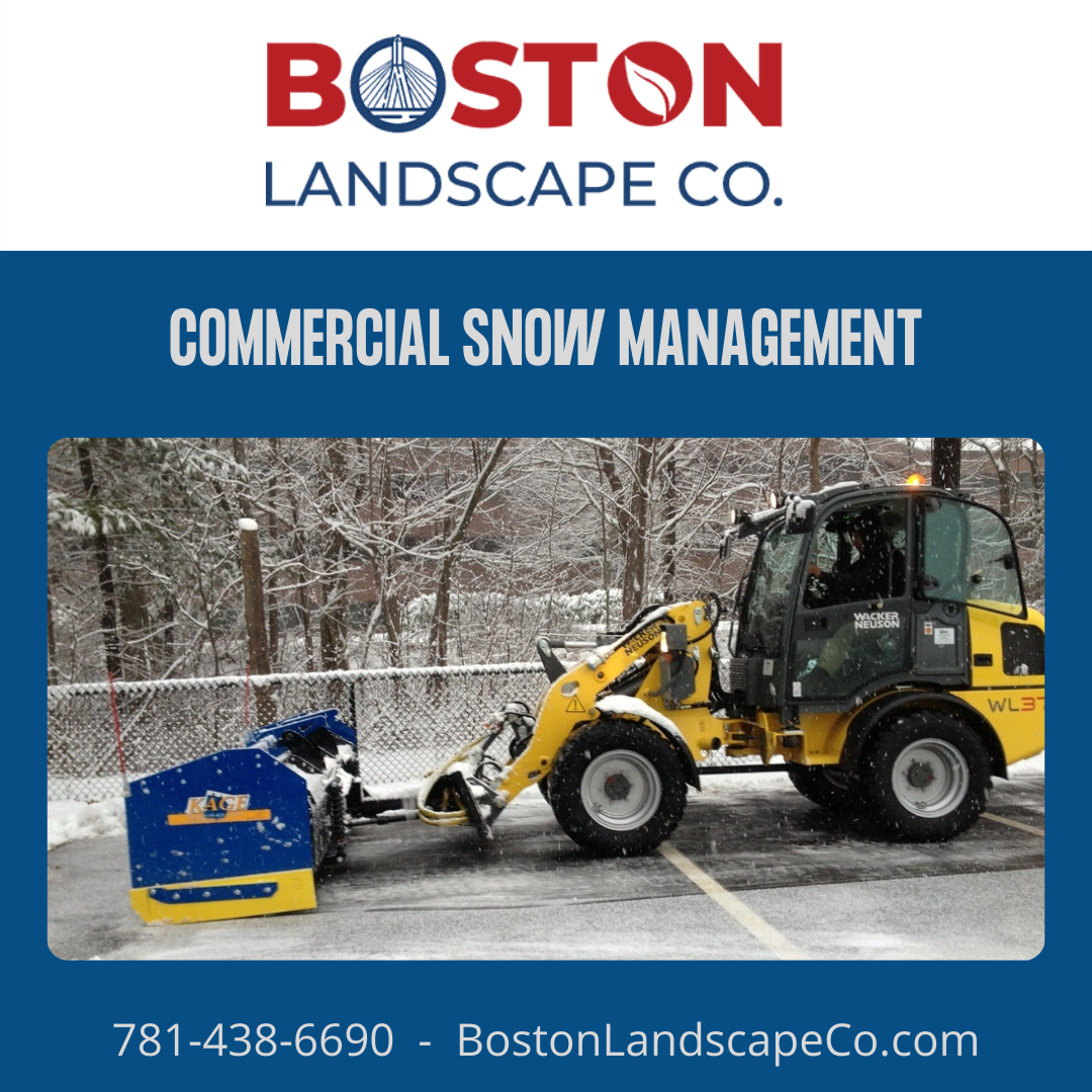 Boston Landscape Co. Image