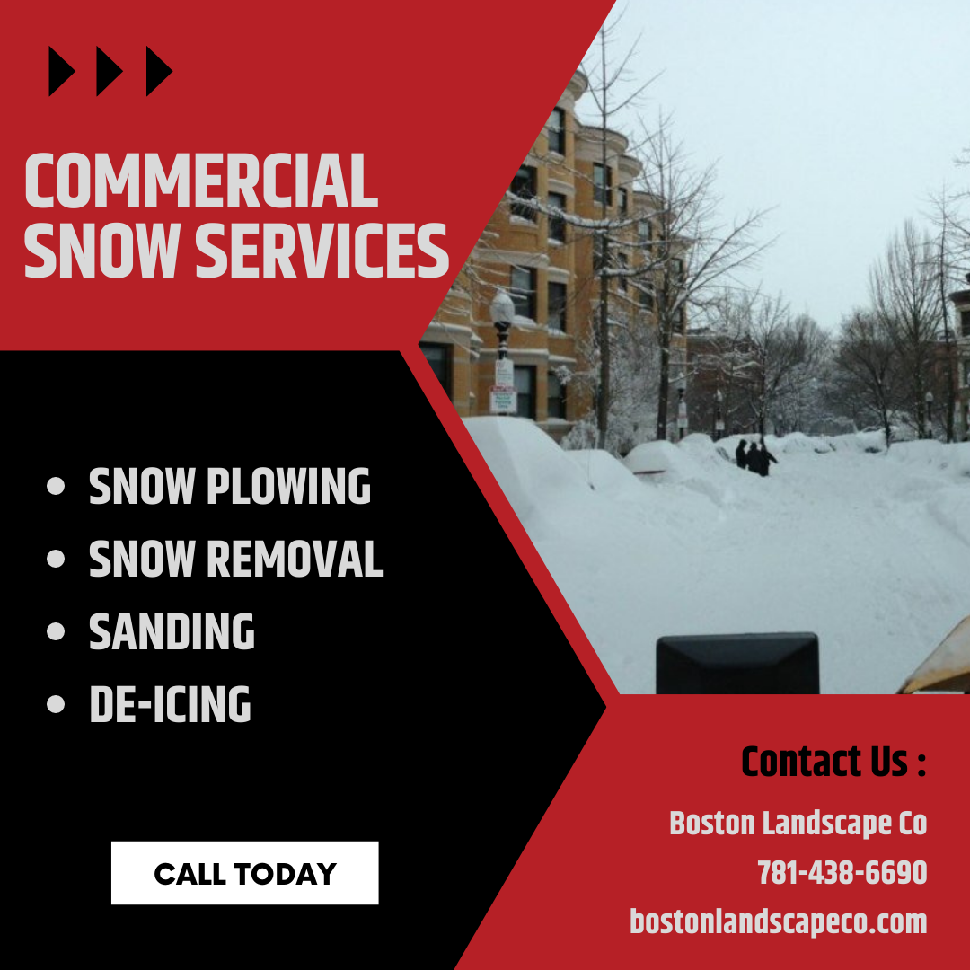 Boston Landscape Co. Image