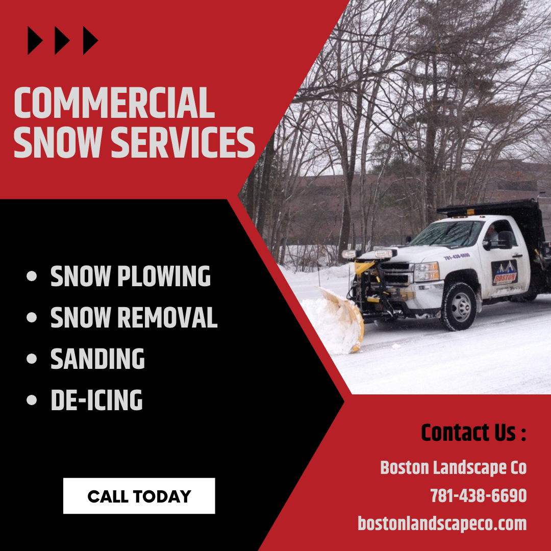 Boston Landscape Co. Image