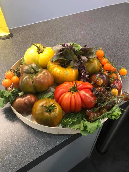 Salinas Valley Dental Care Image