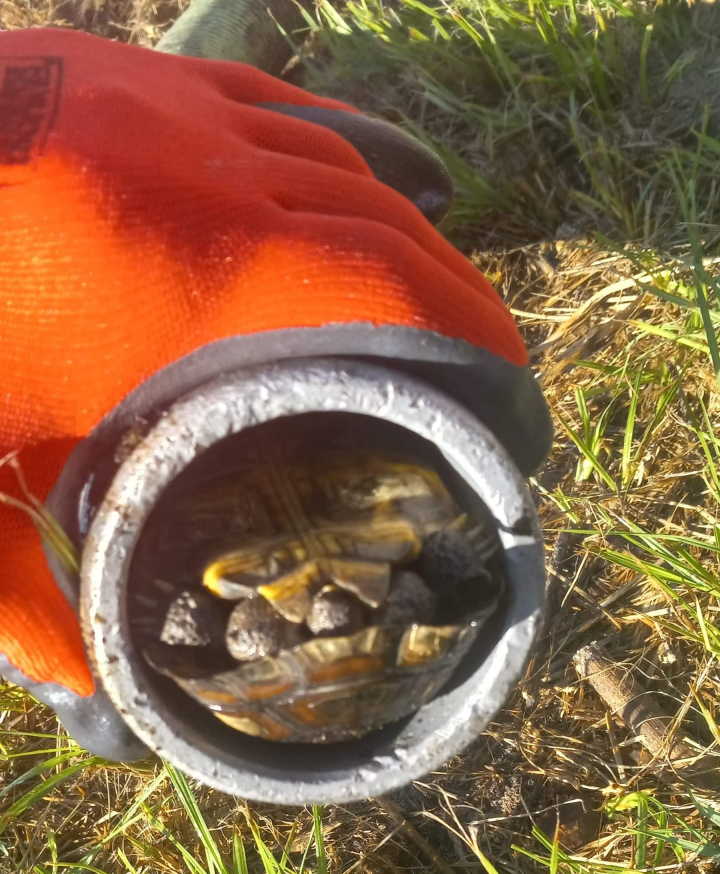 Darrell Crews Septic Tank Service Image