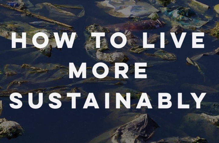 How to Live More Sustainably Logo