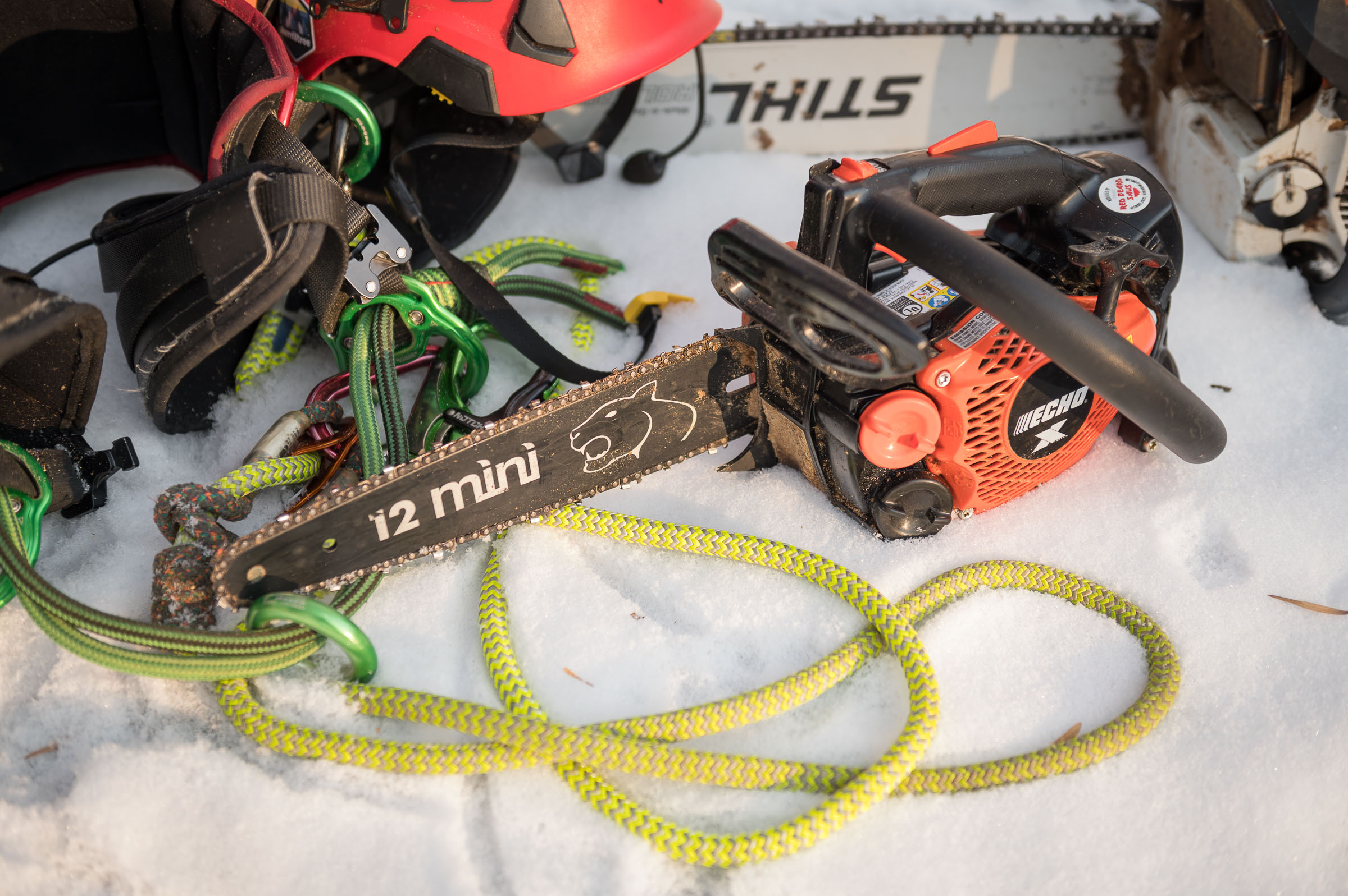 Rise Tree Service - North Branch, MN