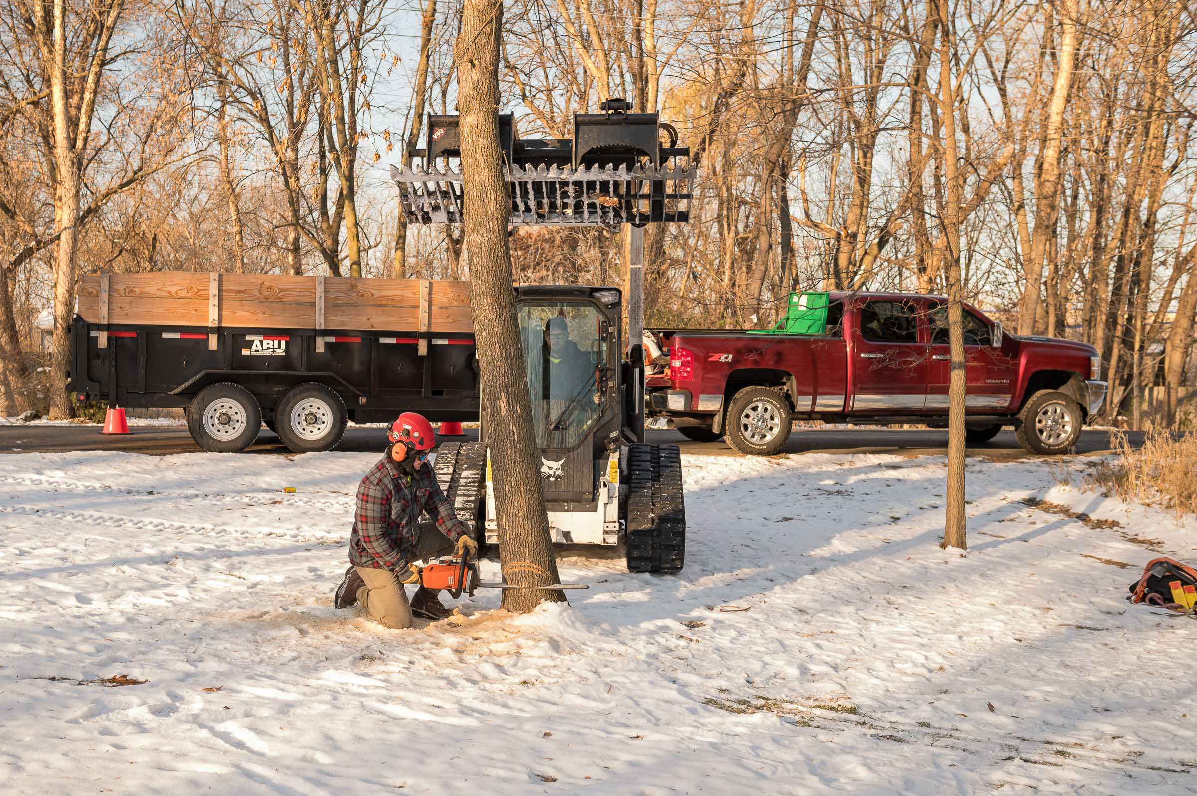 Rise Tree Service - North Branch, MN