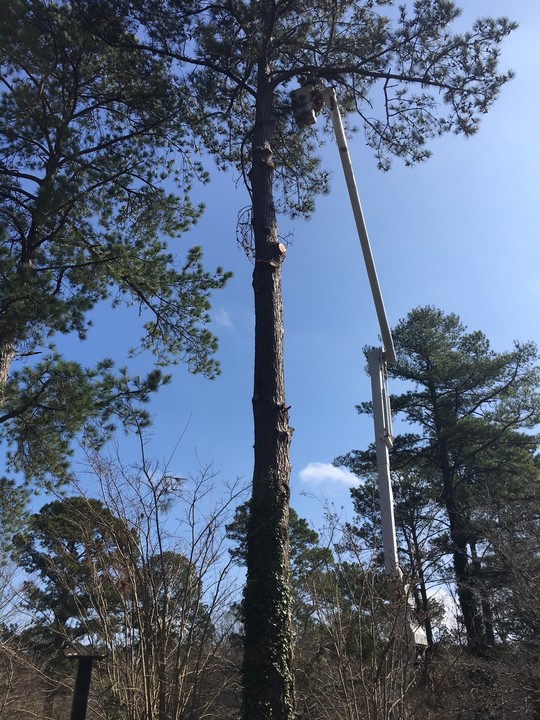 Landworx Contracting, LLC Image