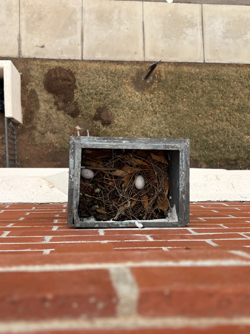 Design Roof Services LLC Image