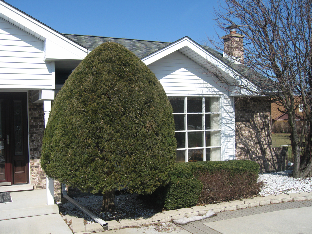 Adept Construction Roofing Image