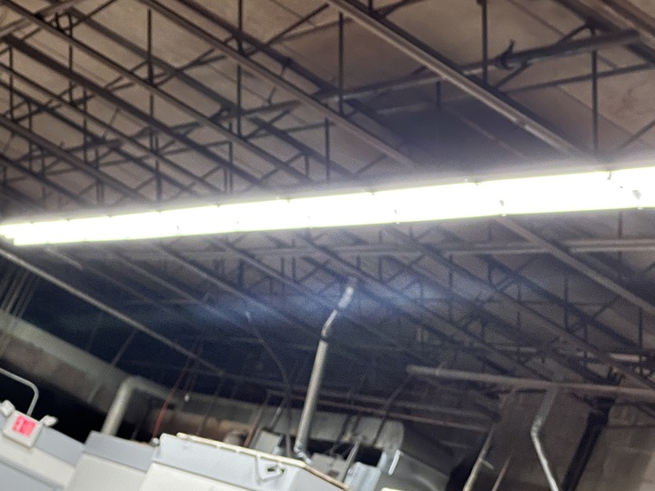 Data2shred Asset &amp; Lamps Logo