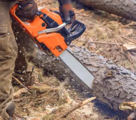 Wester Tree Service - Oklahoma City, OK