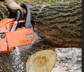 Wester Tree Service - Oklahoma City, OK