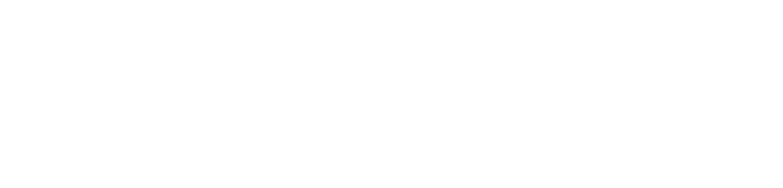 Basement Remedy Logo