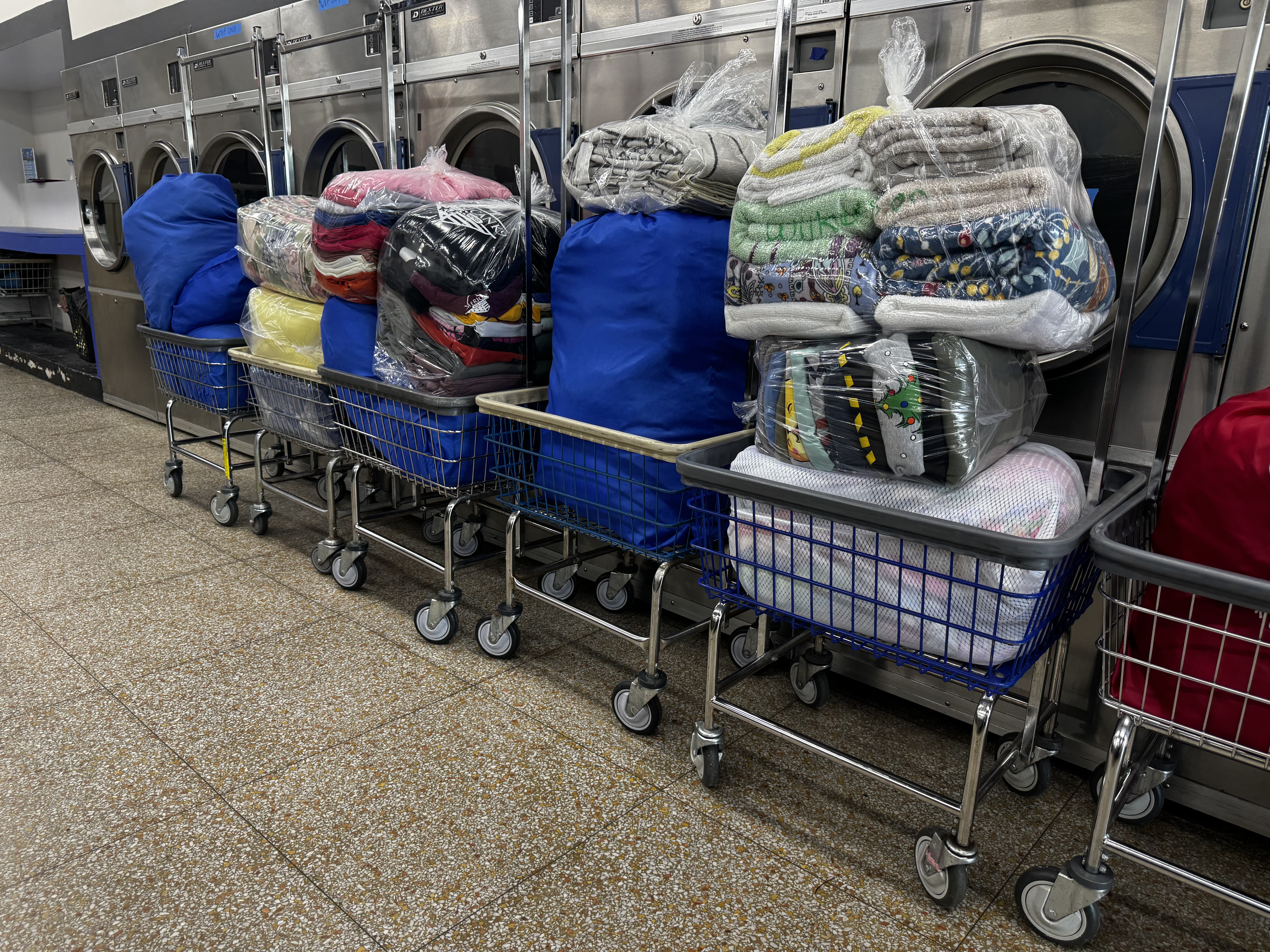 Walters Lane Laundromat Logo