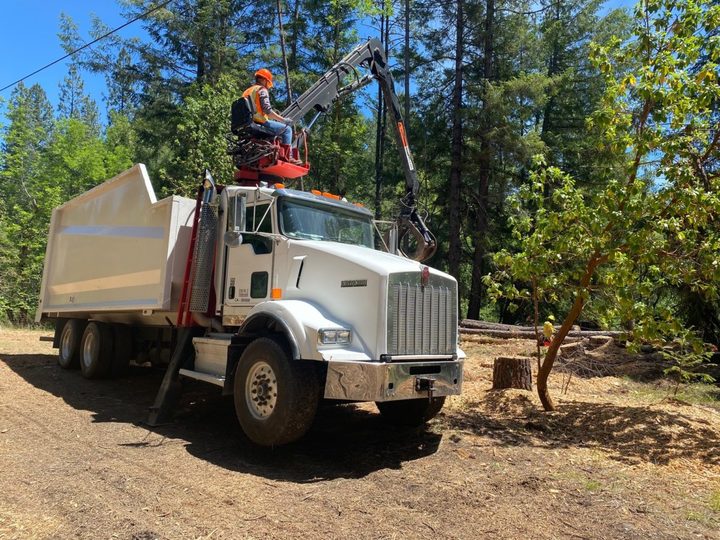 Arborcare Group Inc. Image