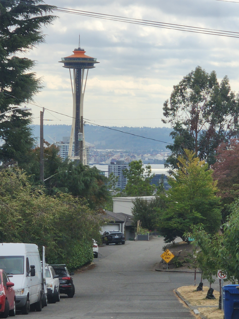 Bugnation, LLC - Seattle, WA