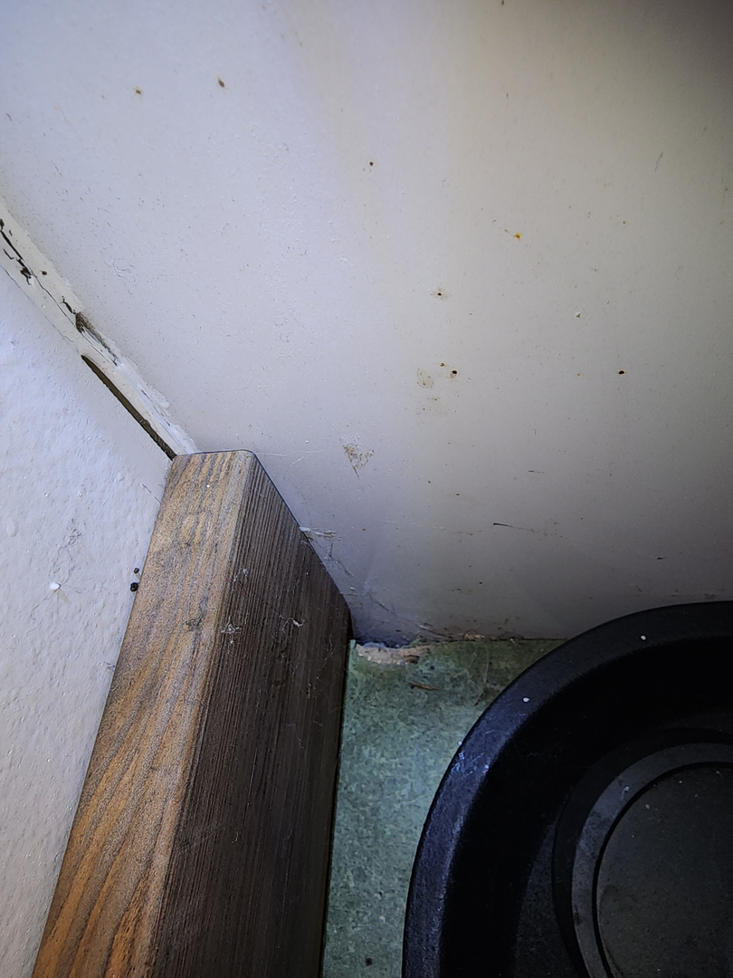 Bugnation, LLC - Seattle, WA