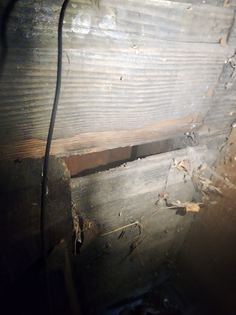 Bugnation, LLC - Seattle, WA