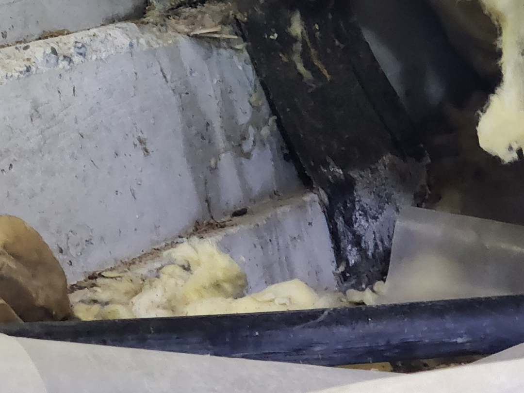 Bugnation, LLC - Seattle, WA