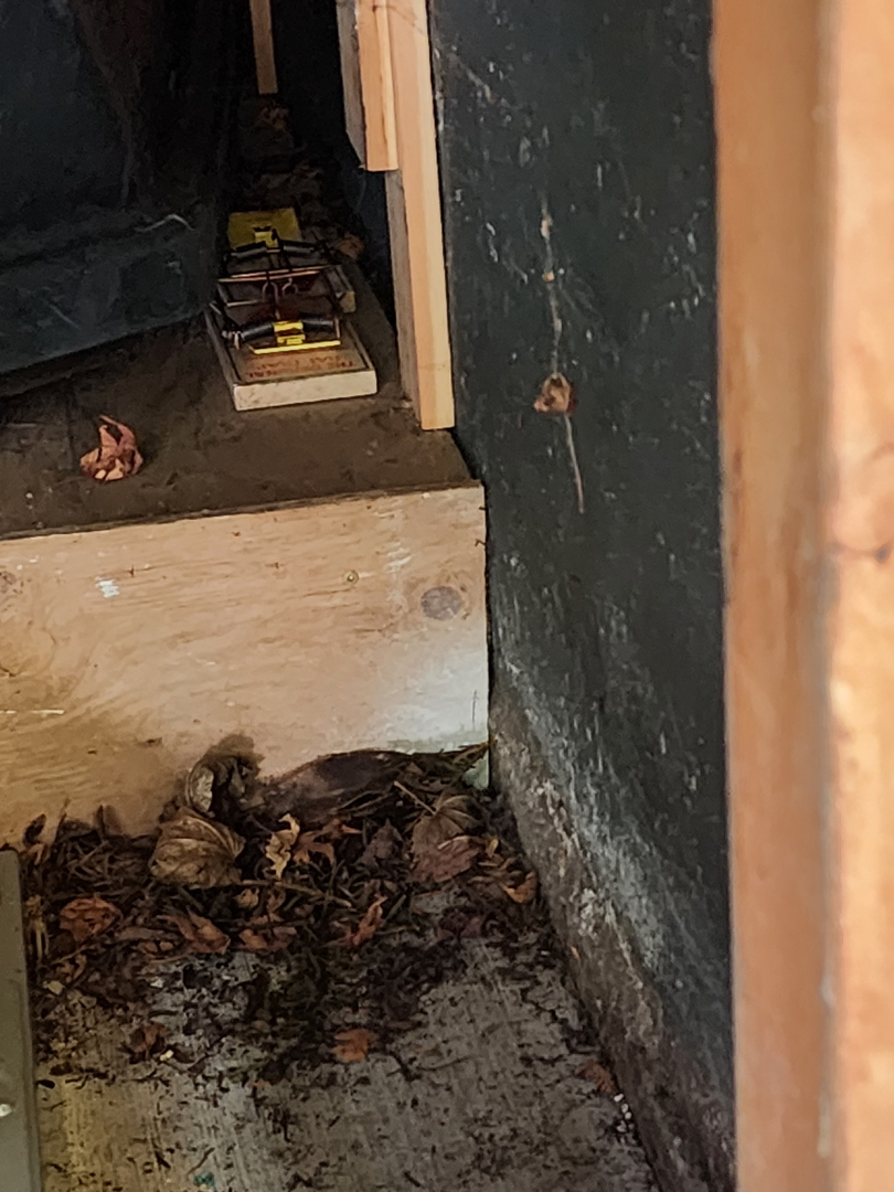 Bugnation, LLC - Seattle, WA