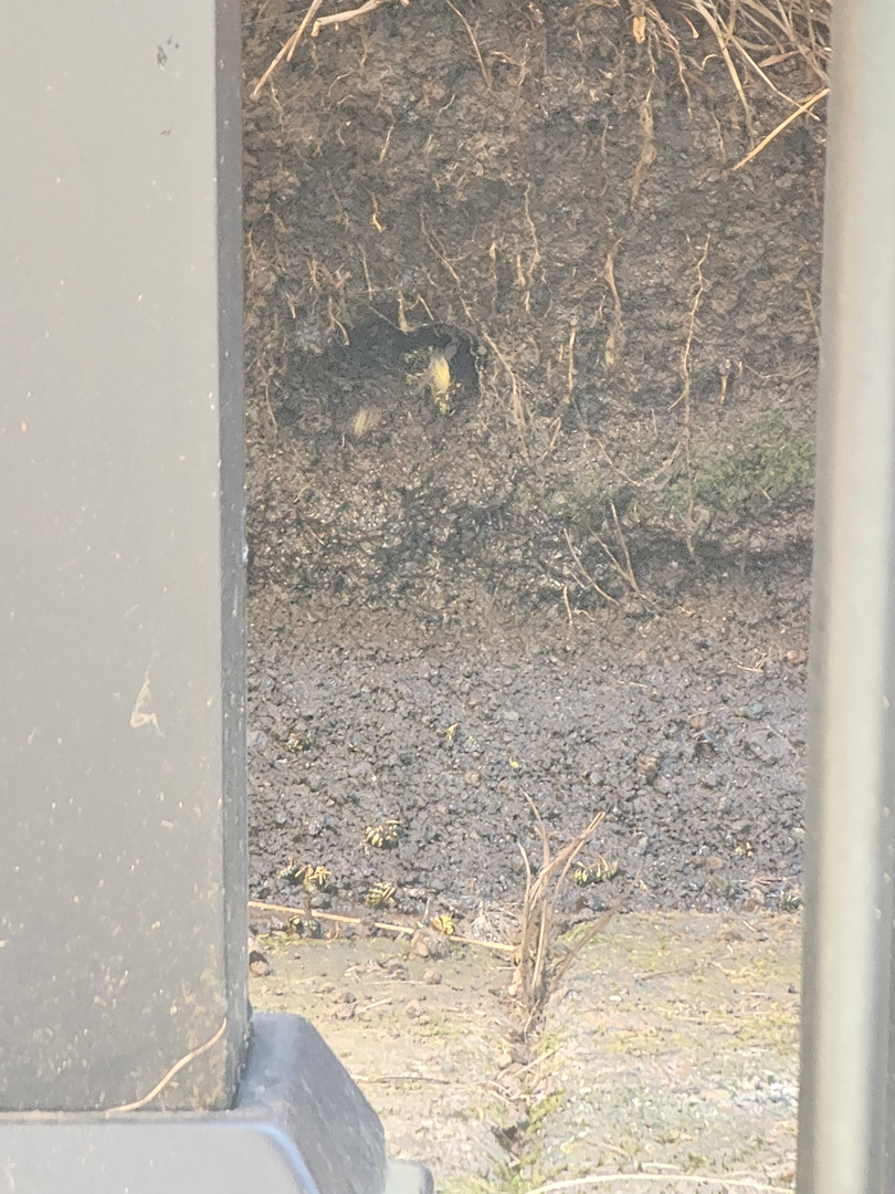 Bugnation, LLC - Seattle, WA