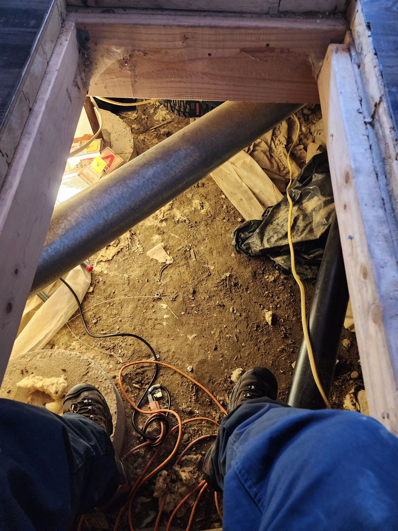 Bugnation, LLC - Seattle, WA