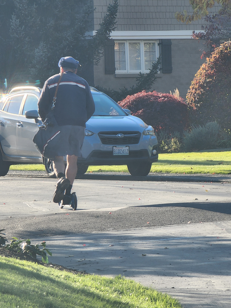 Bugnation, LLC - Seattle, WA