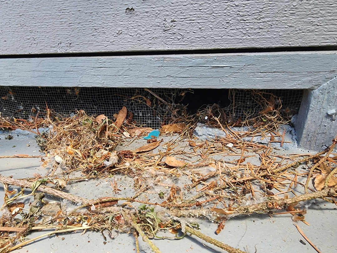 Bugnation, LLC - Seattle, WA