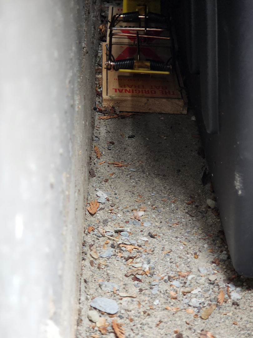 Bugnation, LLC - Seattle, WA