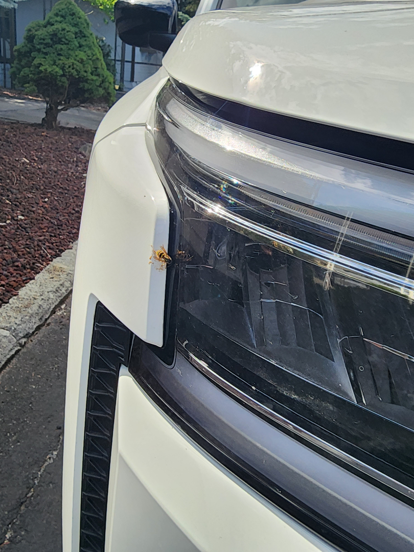 Bugnation, LLC - Seattle, WA