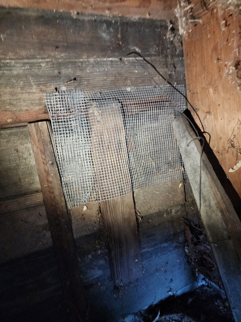 Bugnation, LLC - Seattle, WA